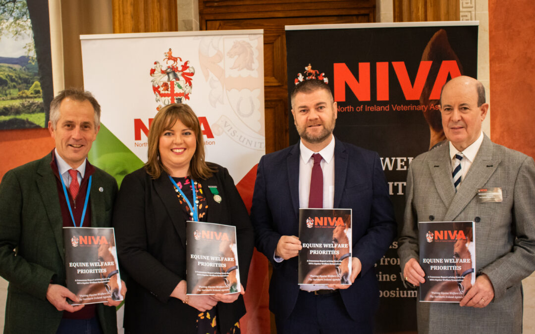 NORTH OF IRELAND VETERINARY ASSOCIATION CALLS FOR EQUINE WELFARE PRIORITISATION
